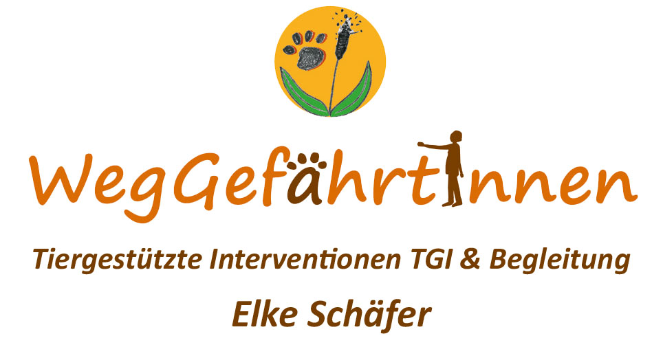 Logo2019 1