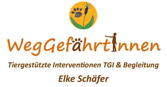 Weggefaehrtinnen-TGI