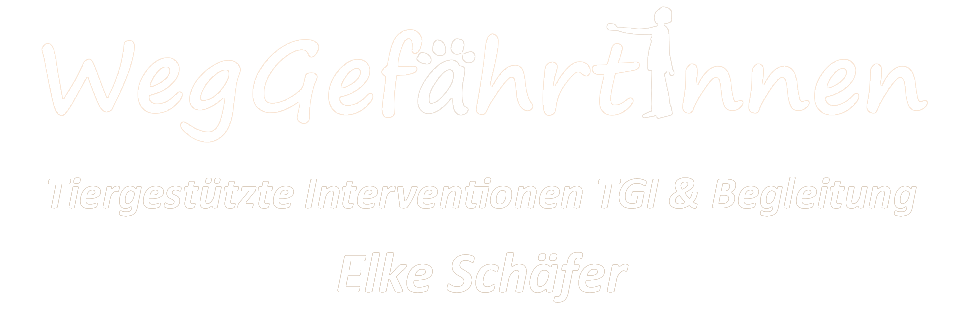 Weggefaehrtinnen-TGI